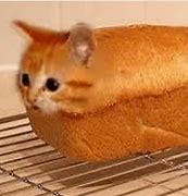 Image result for Bread Cat Meme Computer Background