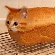 Image result for Pixel Cat Meme Loaf