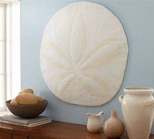 Image result for Sand Dollar Wall Decor