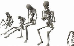 Image result for Skeleton Sit