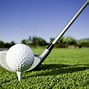 Image result for Golf Ball and Tee