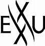 Image result for Nexxus Name Logo Design