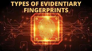 Image result for Patent Fingerprint