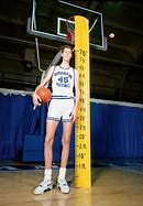 Image result for Current NBA Players Over 7 Feet Tall