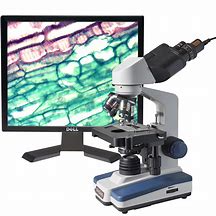 Image result for Picture of a Microscope Compairing 40X to 100X
