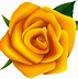 Image result for Beautiful Yellow Roses Printable