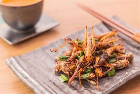 Image result for Cricket Insect Snacks