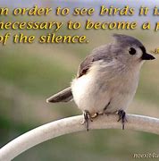 Image result for Baby Bird Quotes