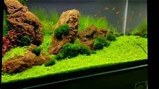 ada aquascape aquascape iwagumi style 180 litres ada aquascape aquascape iwagumi style 180 litres