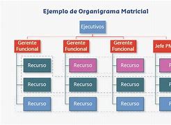 Image result for Departamentalizacion Matricial De Claro
