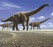 Image result for Largest Herbivore Dinosaur