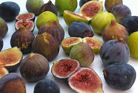 Image result for List of Fig Varieties
