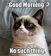 Image result for Grumpy Cat Good Morning Meme