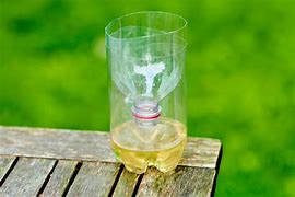 Image result for Homemade Bee Trap