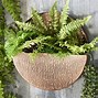 Image result for Rose Gold Copper Wall Planter