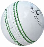 Image result for Cricket Ball in Sward