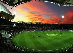 Image result for Cricket Background