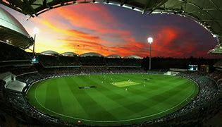 Image result for Cricket Field