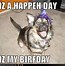 Image result for Dog Birthday Meme