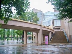 Image result for Tokyo University of Fisher's
