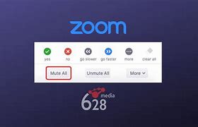 Image result for Setting Mute In Zoom