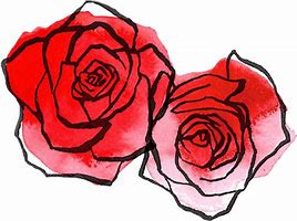 Image result for Rose Drawing with Transparent Background