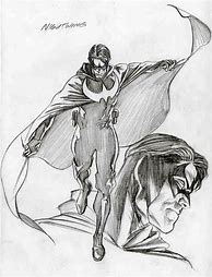 Image result for Alex Ross Nightwing