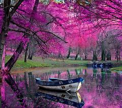 Image result for 1920X1080 Beautiful Place