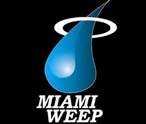 Image result for Miami Heat Funny Logos