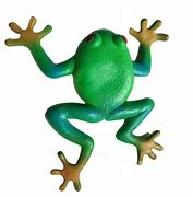 Image result for Stretchy Frog