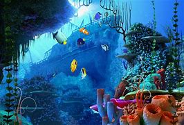 Image result for Free to Download Underwater Ocean Scenery