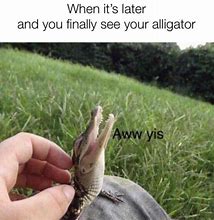 Image result for Crocodile with a Purse Meme