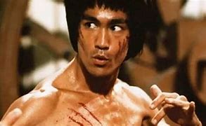 Image result for Famous Martial Artists