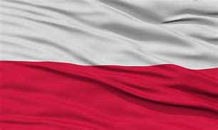 Image result for Poland Flag Look Alike