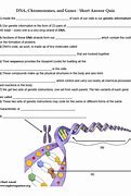 Image result for Worksheets On Difference Between Genes and Chromosomes