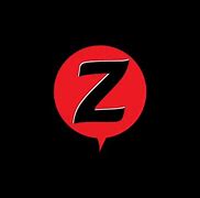 Image result for Two Z Logo