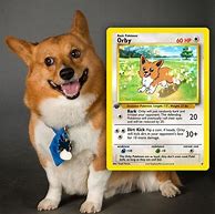 Image result for Sus Dog Pokemon Cards