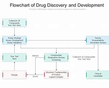 Image result for Drug Discovery Process Conclusion