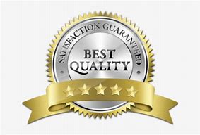 Image result for 100 Best Quality Logo