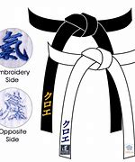 Image result for Aikido Belt System