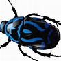 Image result for Big Bug Cartoon