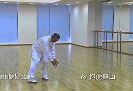 Image result for Wu Style Tai Chi Chuan 108 Forms