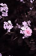 Image result for Black and Pink Screen
