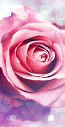 Image result for Galaxy Rose