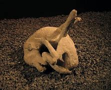 Image result for Petrified People From the Eruption of Pompeii