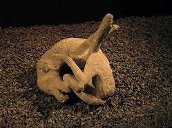 Image result for Remains Found at Pompeii
