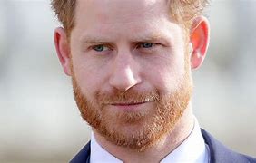 Image result for Prince Harry Therapy