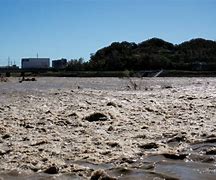 Image result for Tama River Pollution