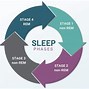 Image result for Brain Activity during REM Sleep