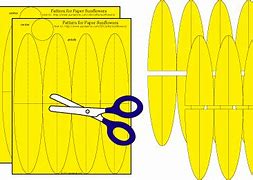 Image result for Cut Out Examples